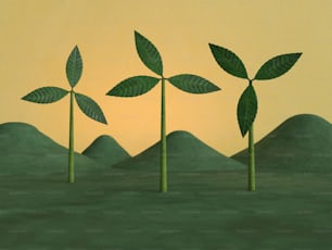 a group of three green plants growing out of a pile of dirt