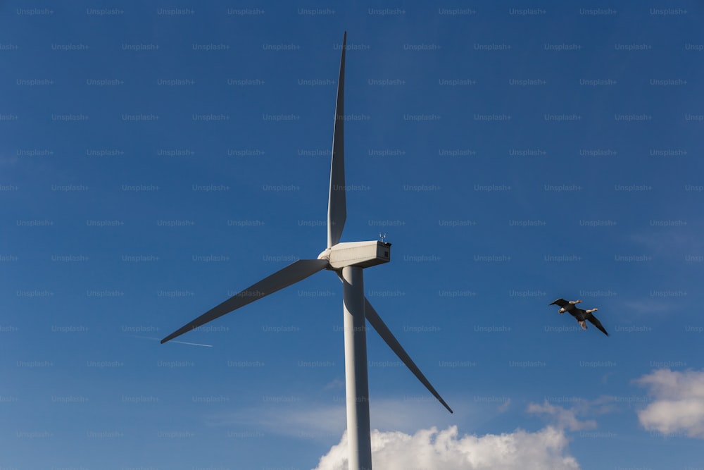 um pássaro voando ao lado de uma turbina eólica