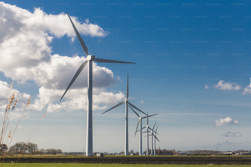 a group of wind turbines in a field