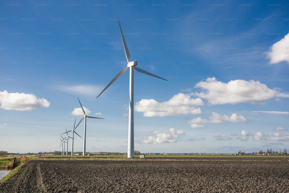 a row of wind turbines in a field