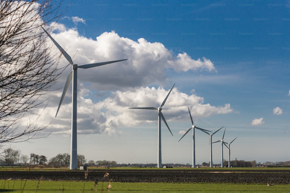 a row of wind turbines in a field