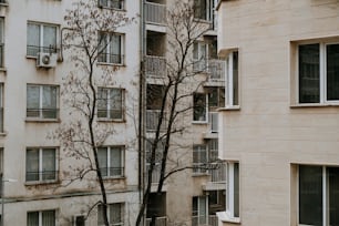 um edifício alto com varandas e uma árvore em frente a ele