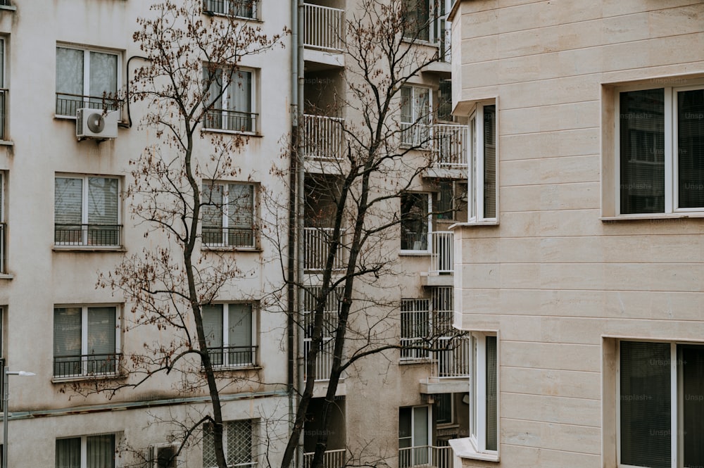 Un edificio alto con balcones y un árbol frente a él