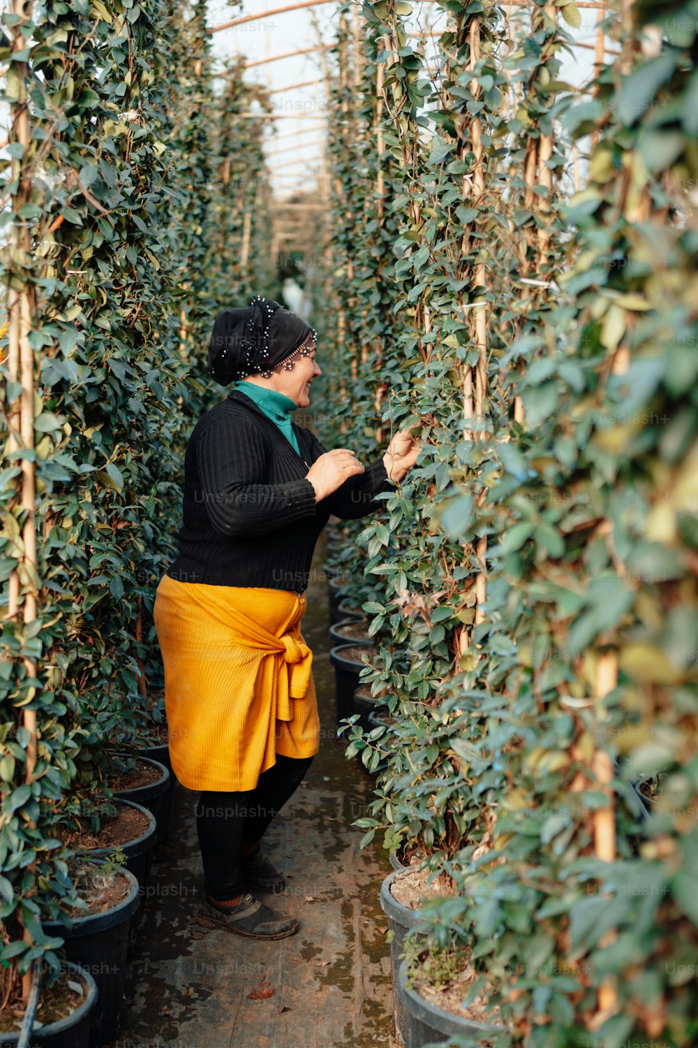 Una mujer parada en un invernadero rodeada de plantas en macetas