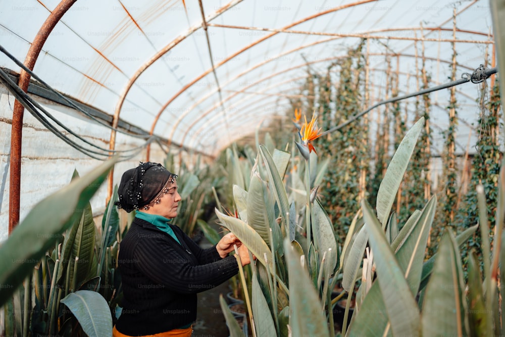 Una mujer parada en un invernadero sosteniendo una planta