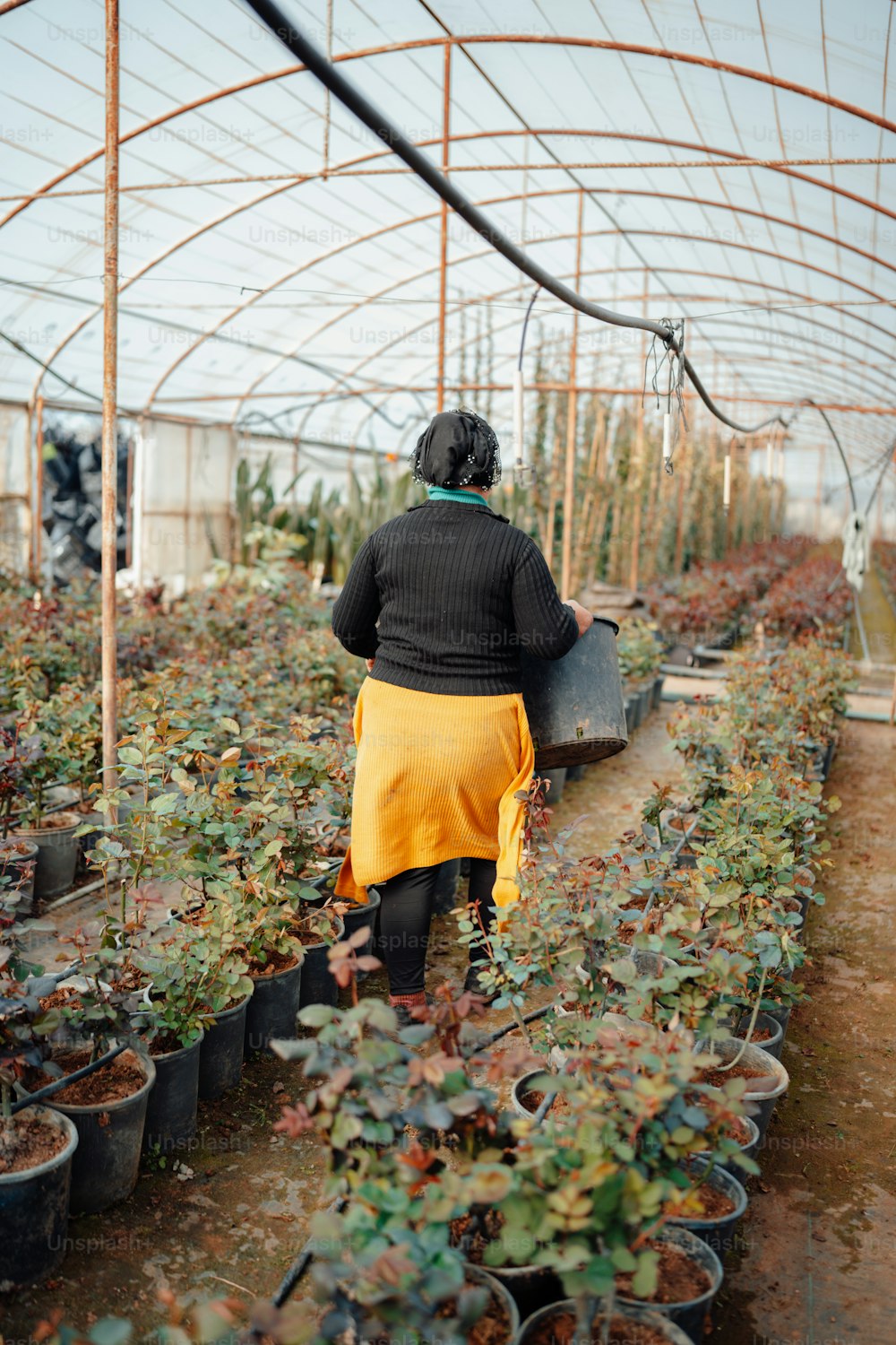 a woman walking through a greenhouse filled with plants