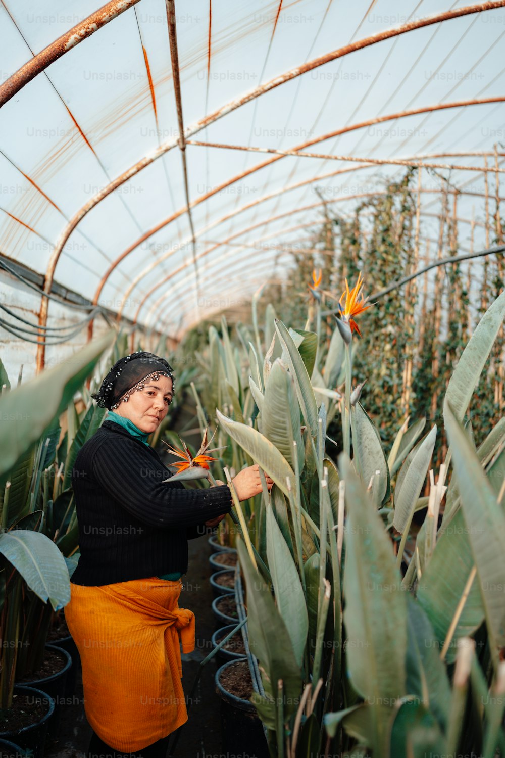 a woman standing in a greenhouse holding a flower