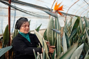 植物を抱えた温室に立つ女性