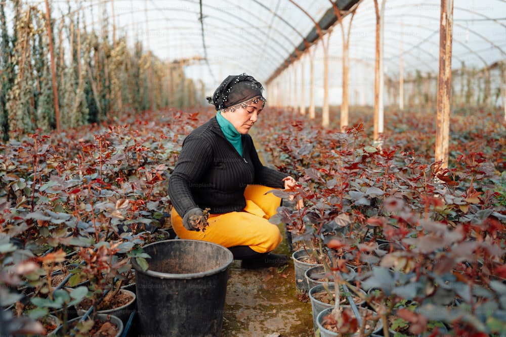 a woman kneeling down in a greenhouse with a bucket
