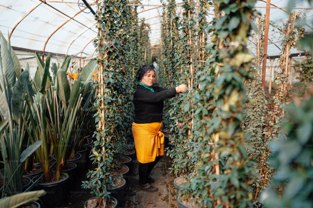 Eine Frau, die in einem Gewächshaus steht, umgeben von Topfpflanzen