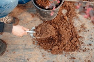 a person scooping dirt into a bucket