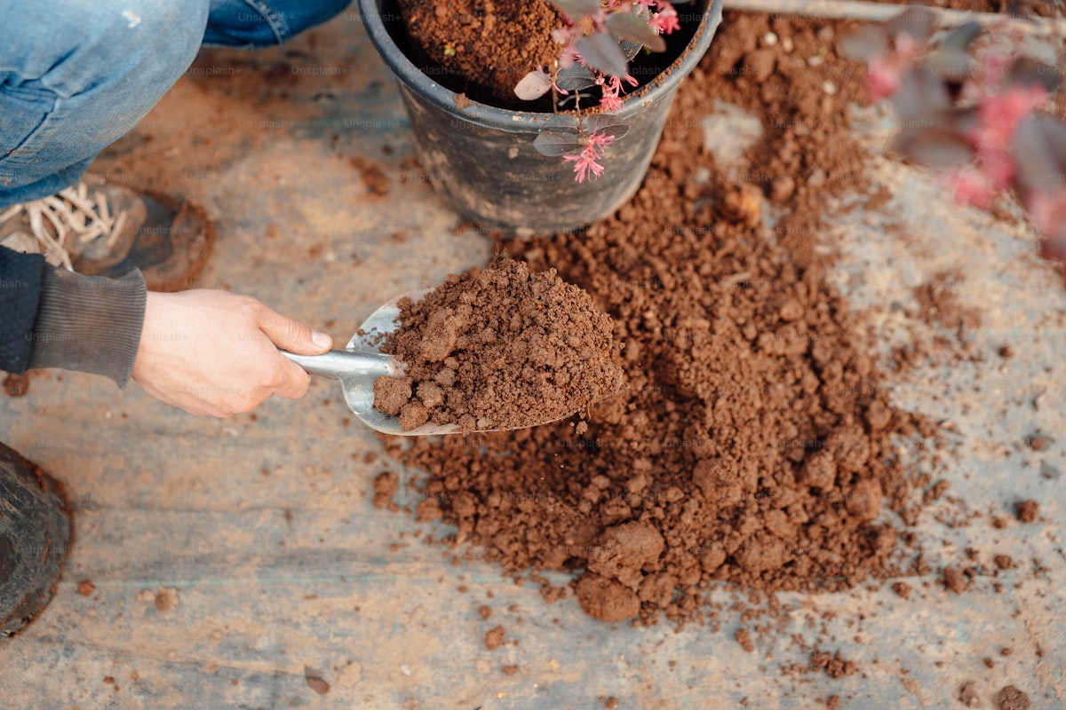 How to Prepare Soil for a Patio: A Step-by-Step Guide