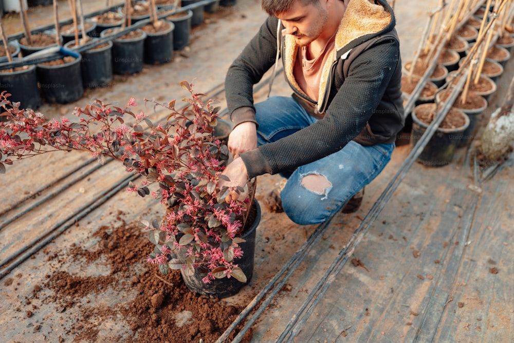 a man kneeling down next to a plant filled with dirt