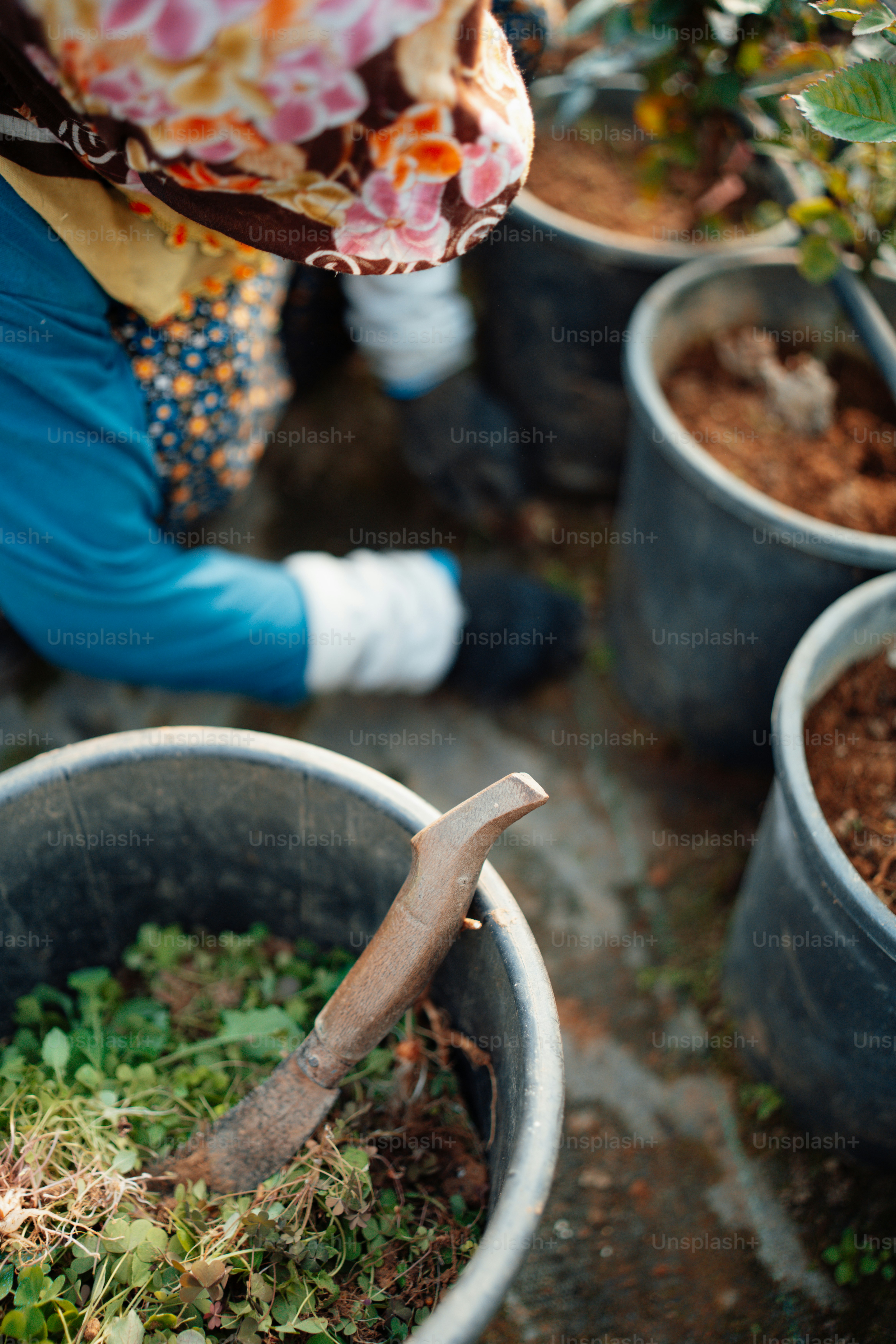 a woman in a blue shirt and white gloves working in a garden