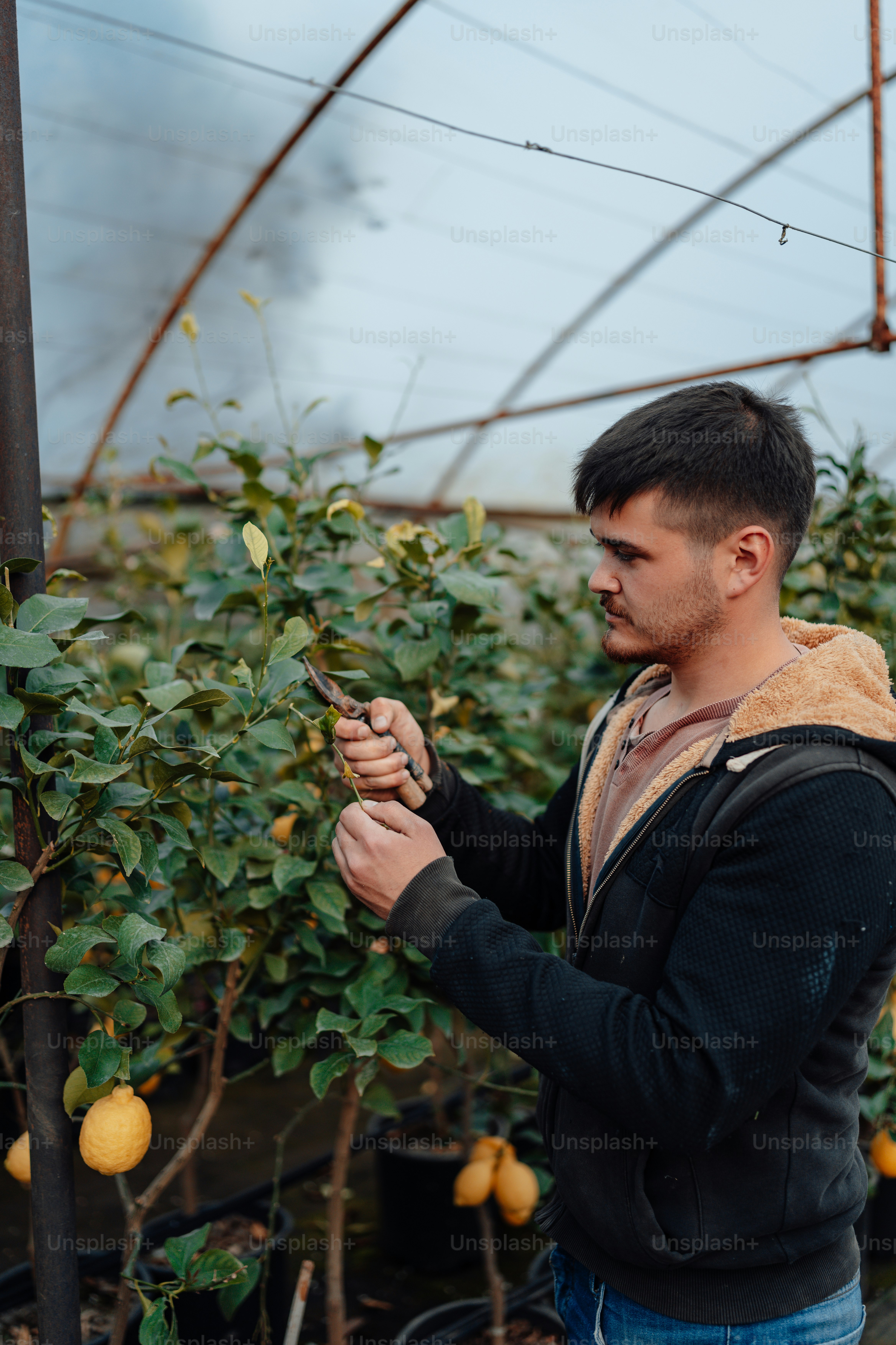 a man in a greenhouse holding a small plant