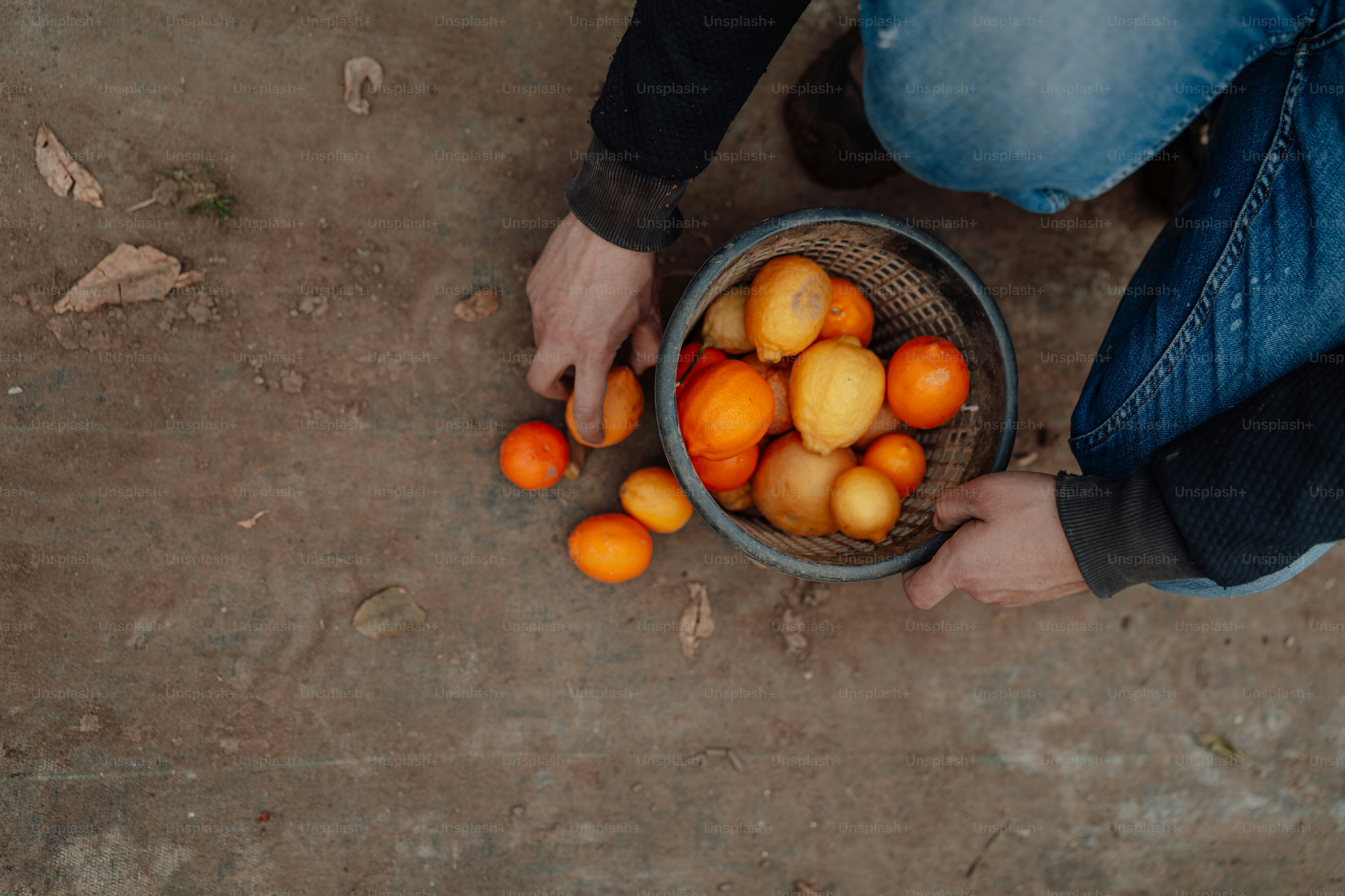 a person holding a basket full of oranges