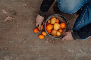 a person holding a basket full of oranges