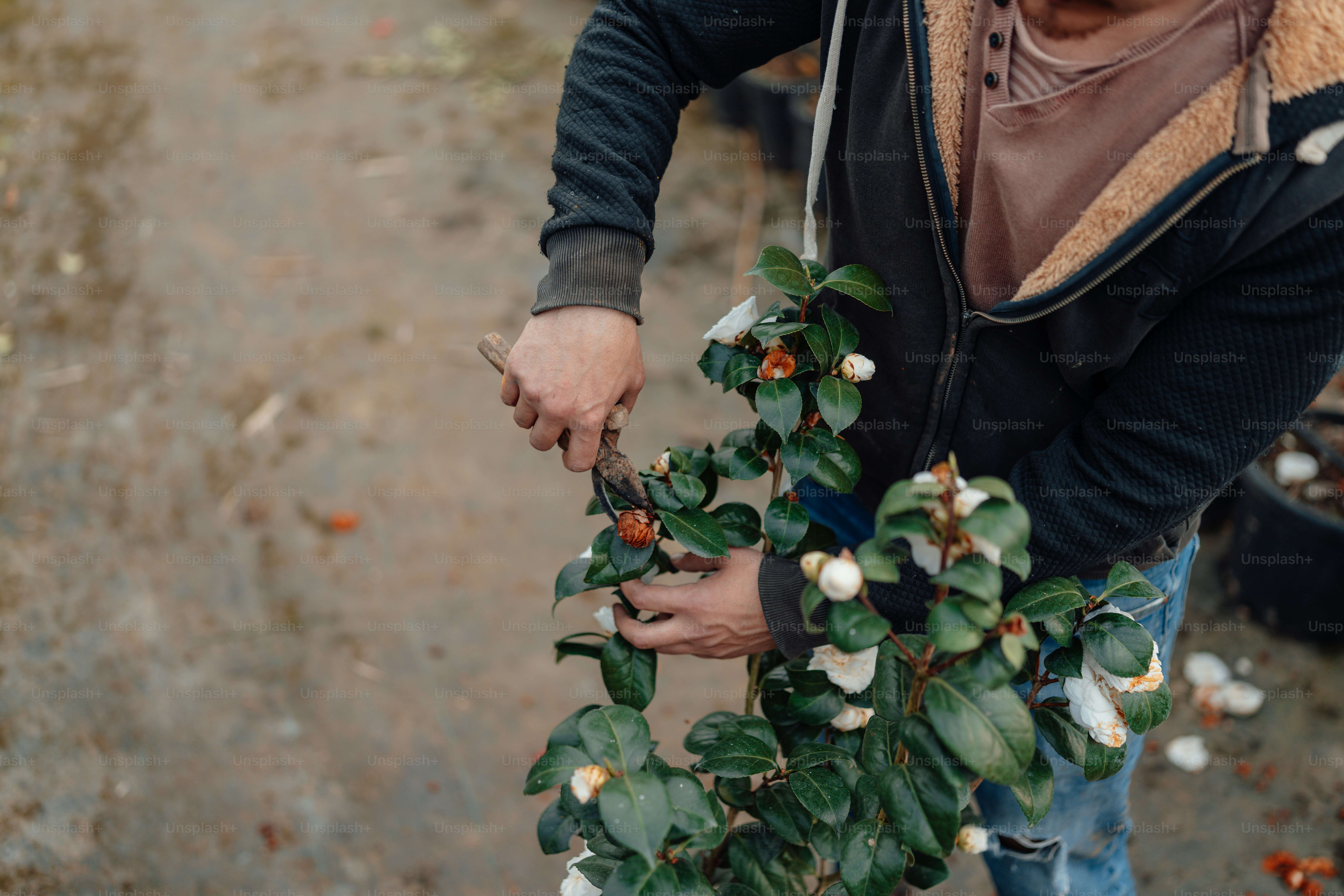a man holding a plant with white flowers