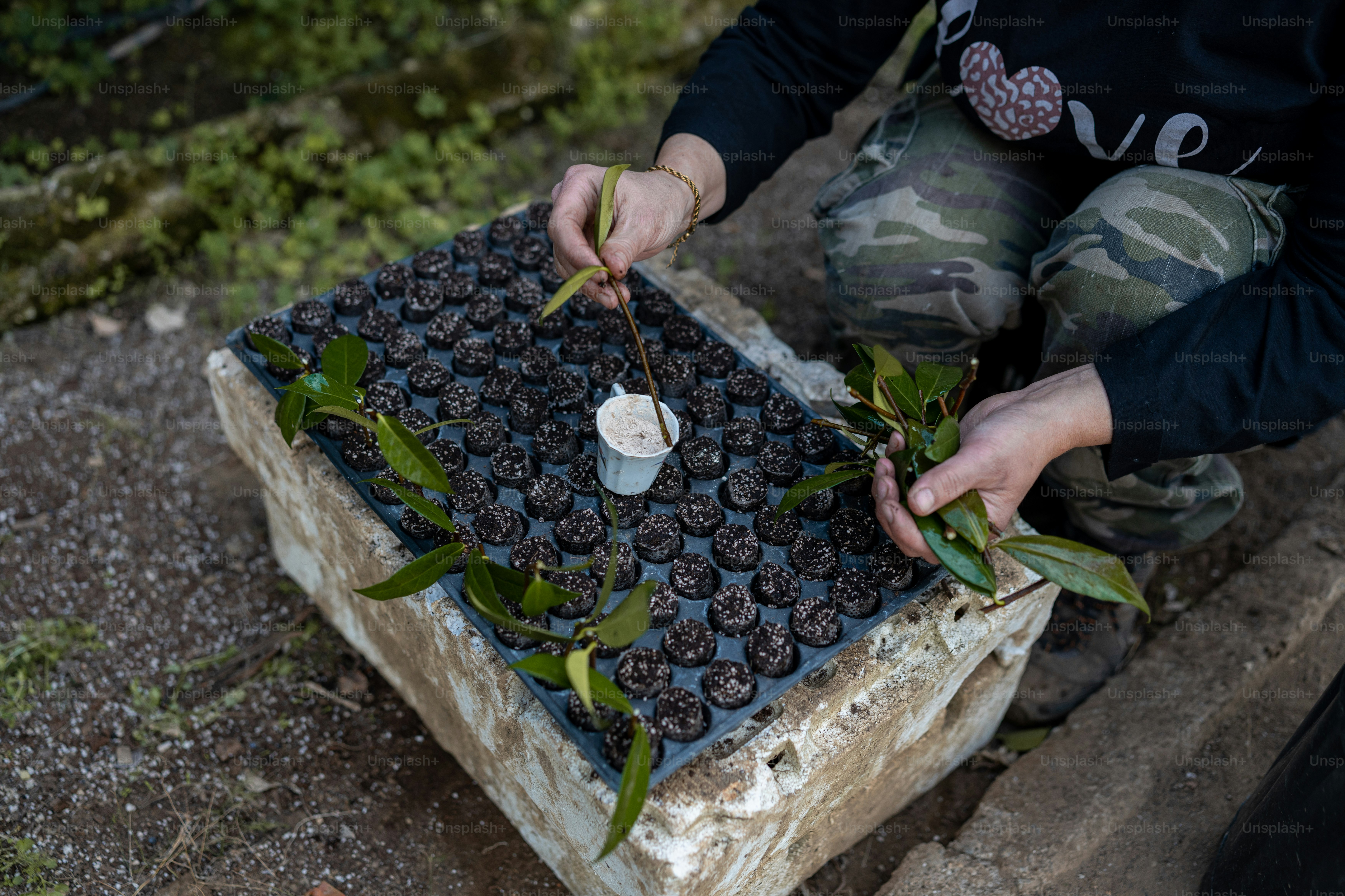 a person is putting something in a container