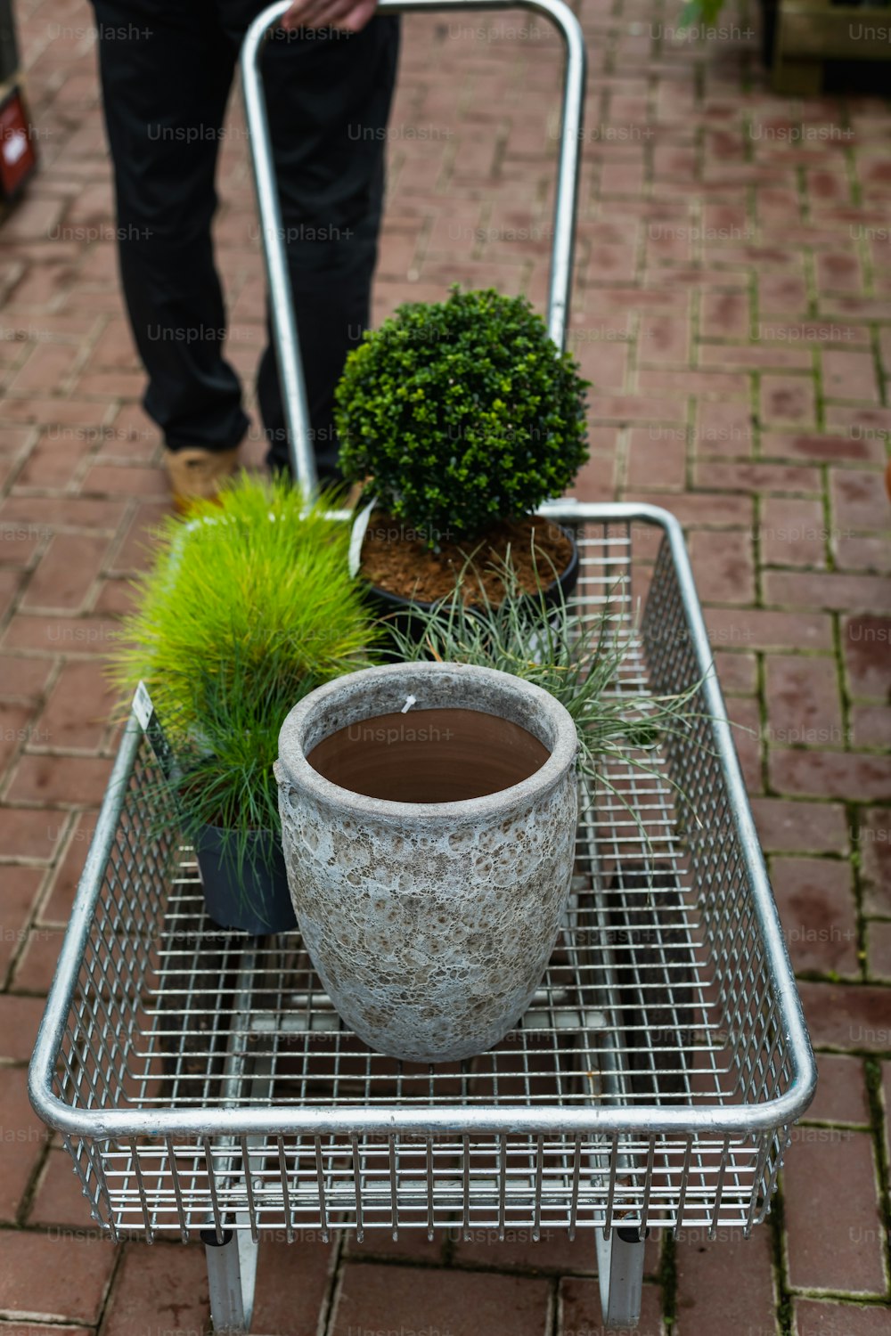 una pianta in vaso seduta sopra un carrello di metallo