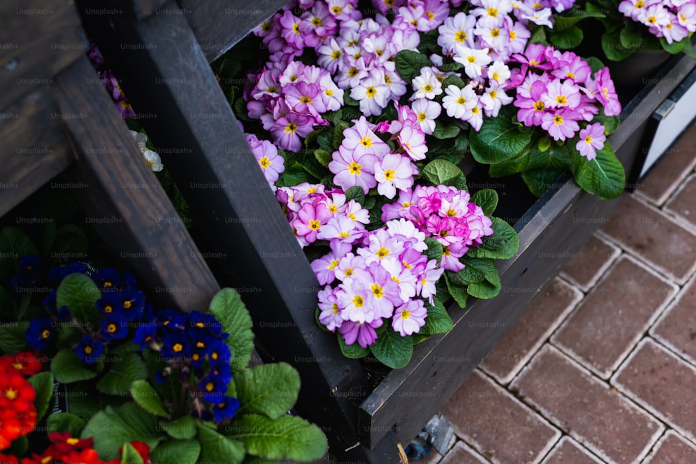 a bunch of flowers that are sitting in a box