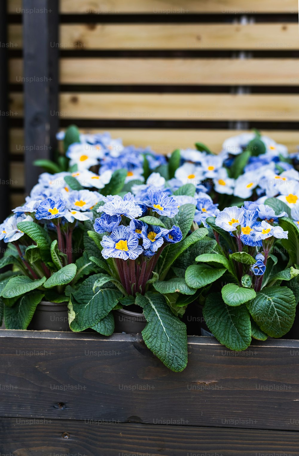 a wooden box filled with blue and yellow flowers