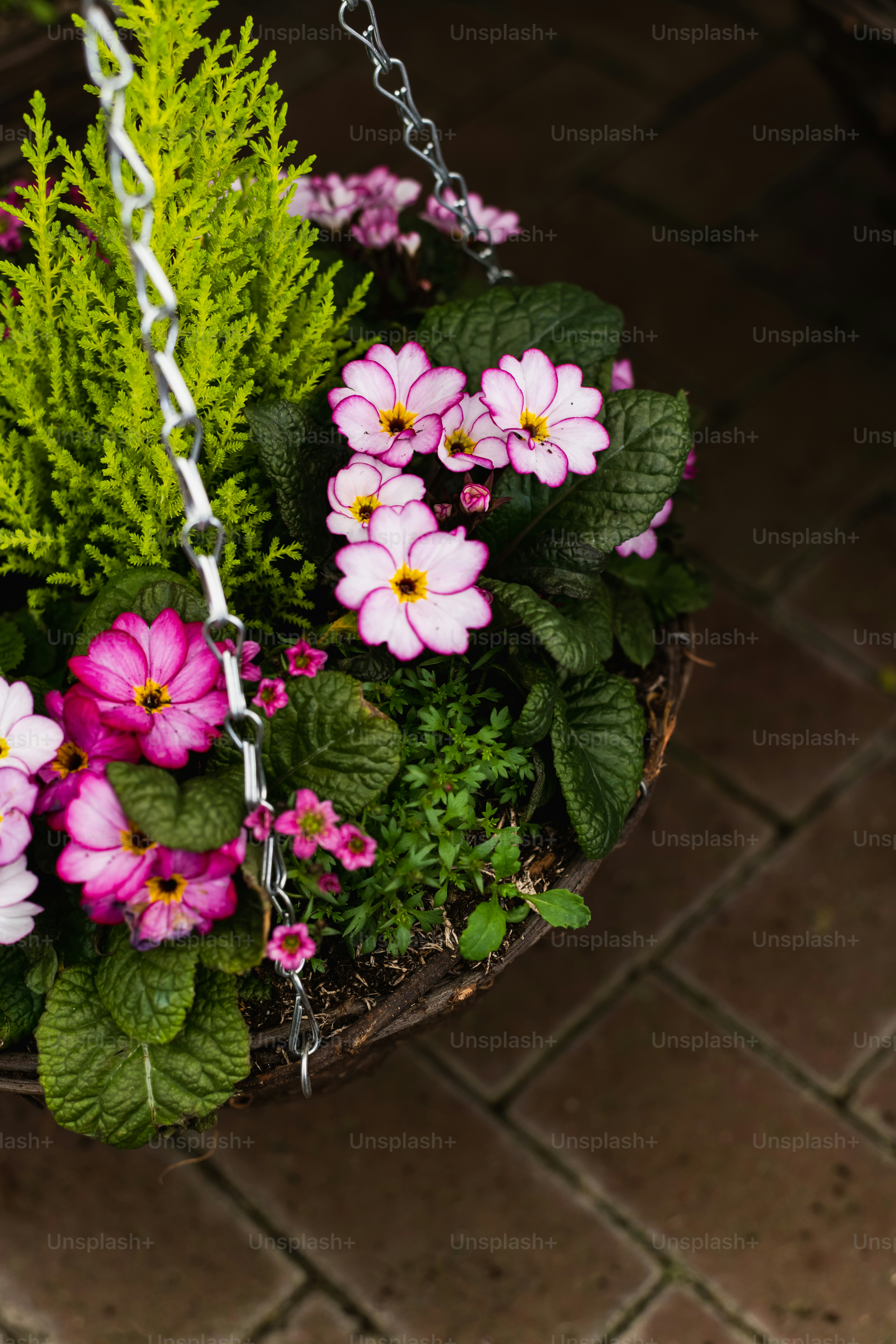 un cesto appeso pieno di fiori rosa e bianchi