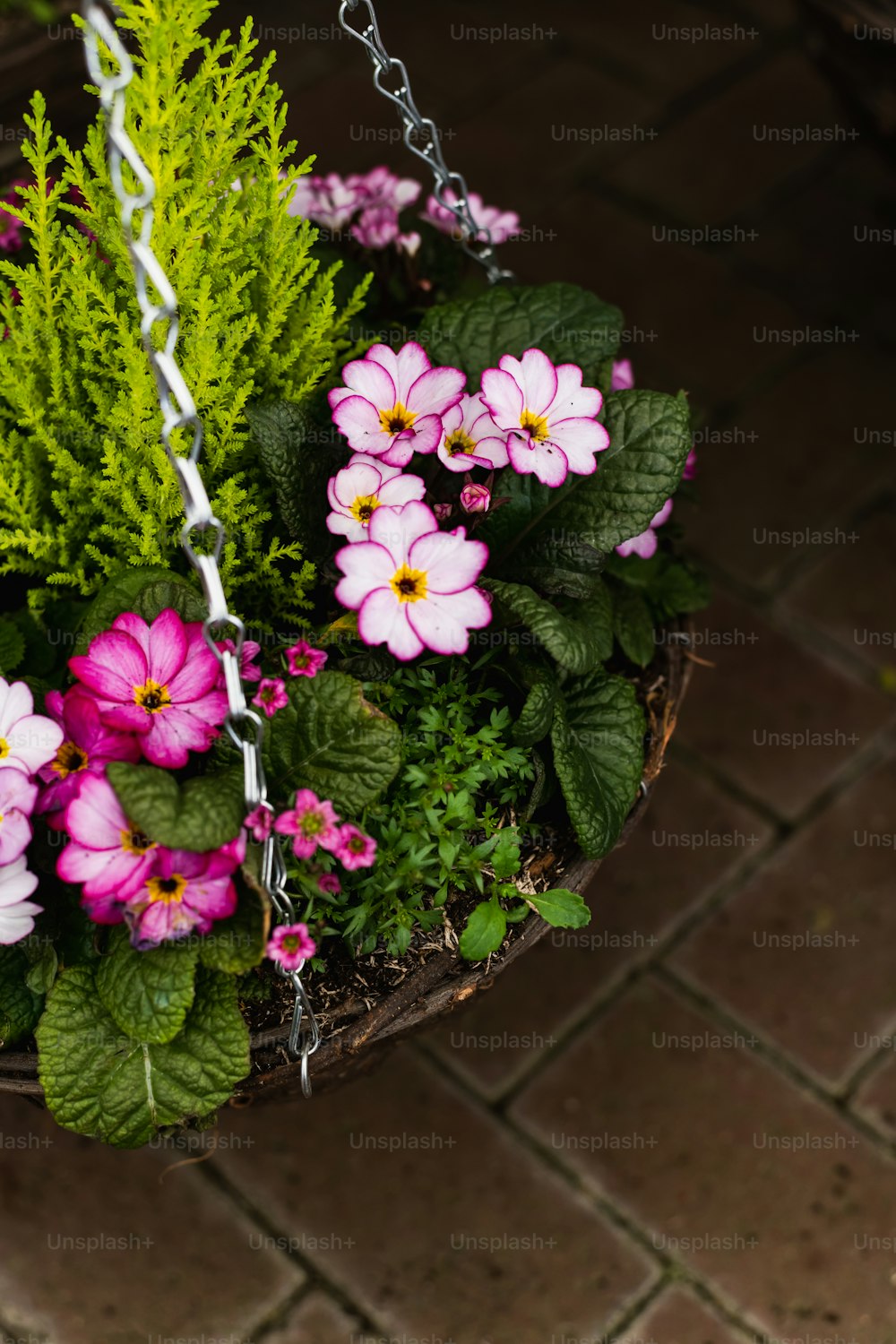 a hanging basket filled with pink and white flowers