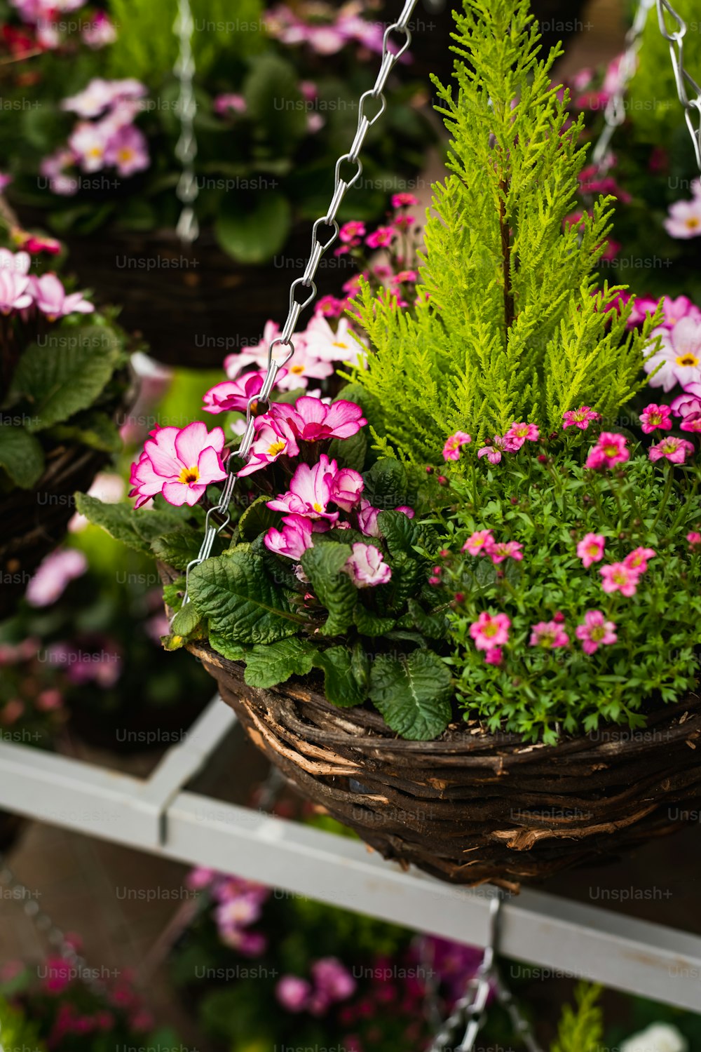 a basket filled with pink and white flowers