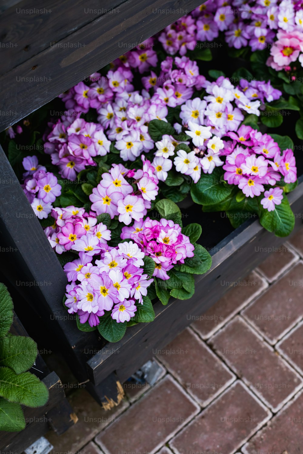 um ramo de flores que estão sentadas em um banco