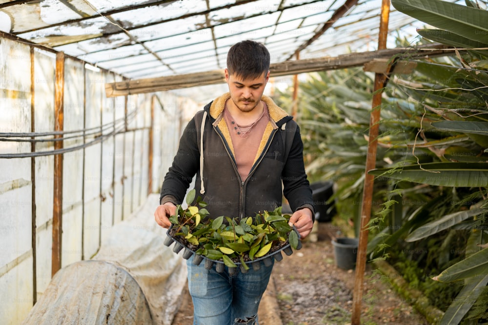 a man holding a bunch of plants in a greenhouse