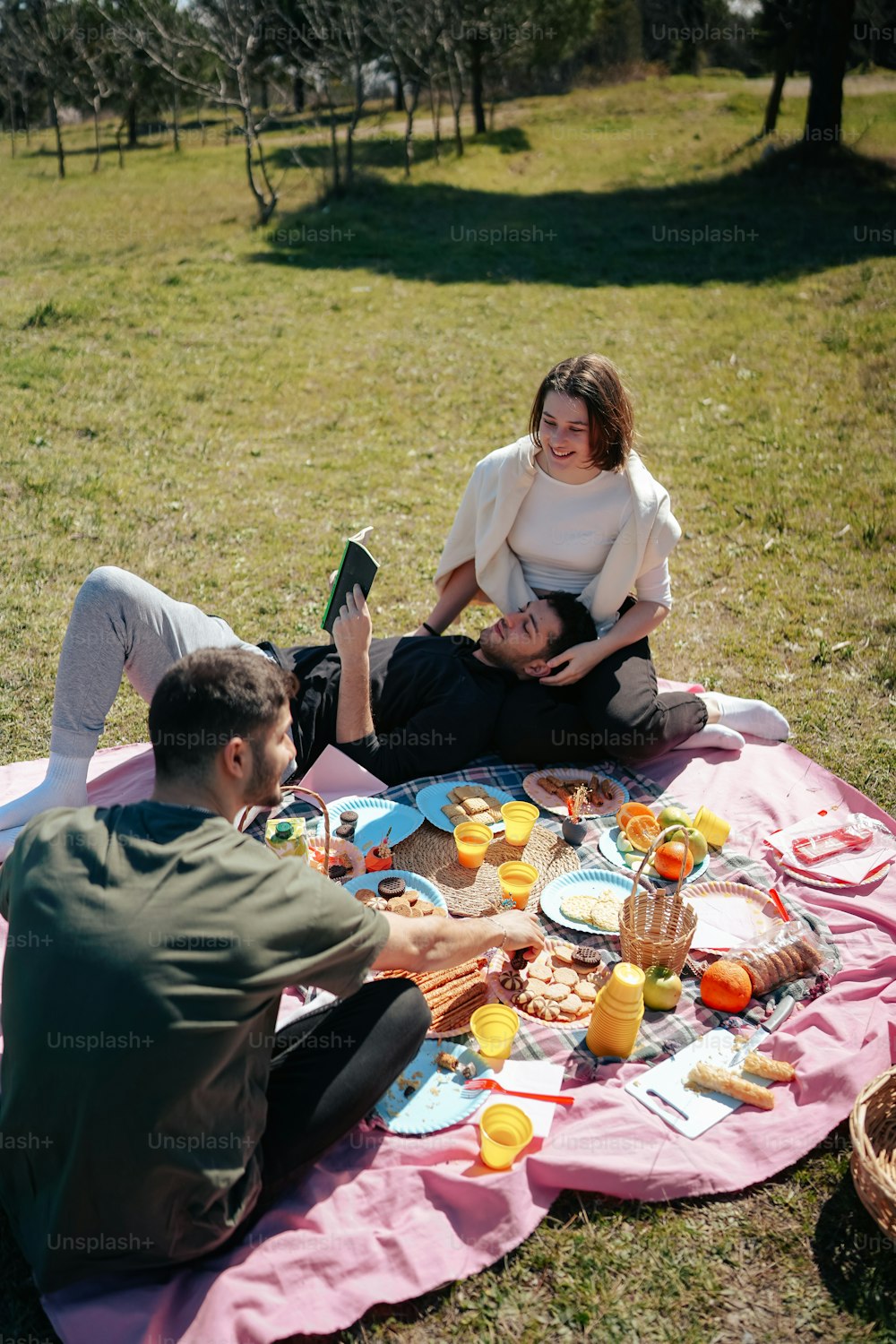 um homem e uma mulher sentados em um cobertor na grama