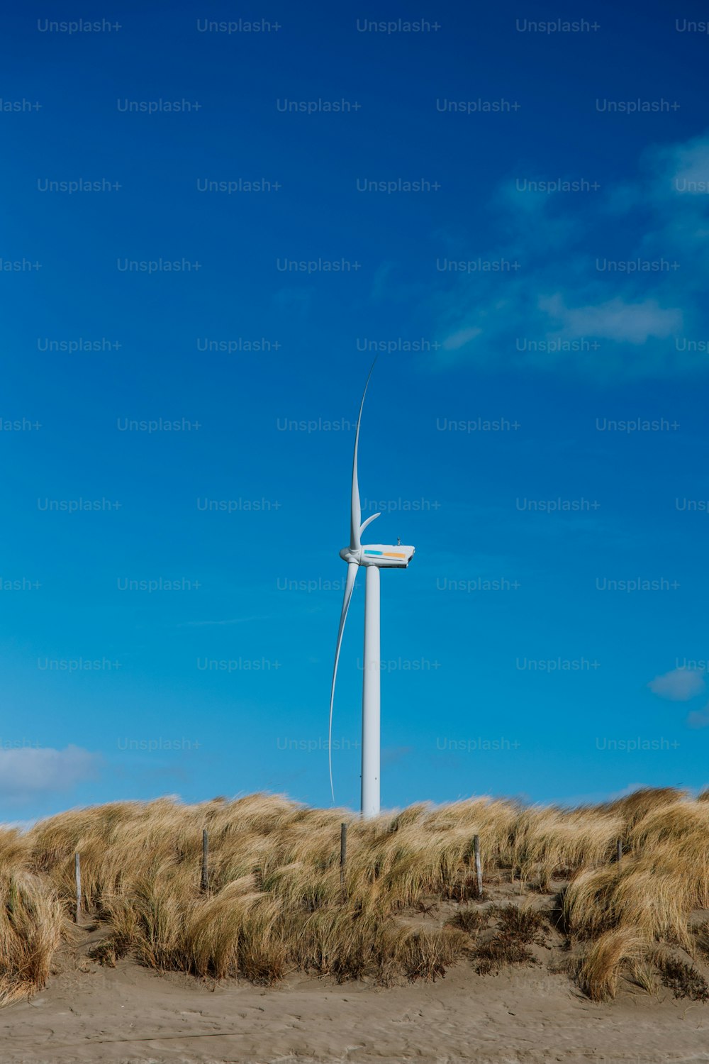 Una turbina eolica in mezzo a un campo