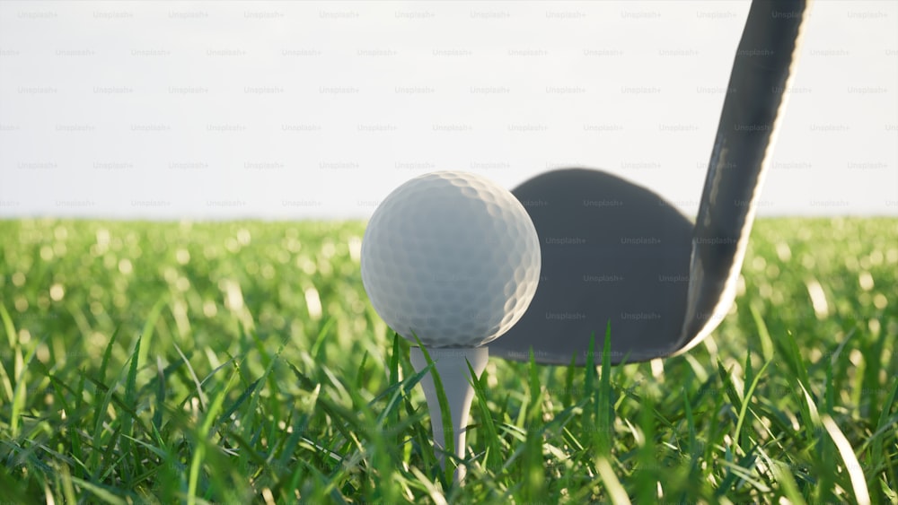 una pallina da golf e un autista su un tee nell'erba