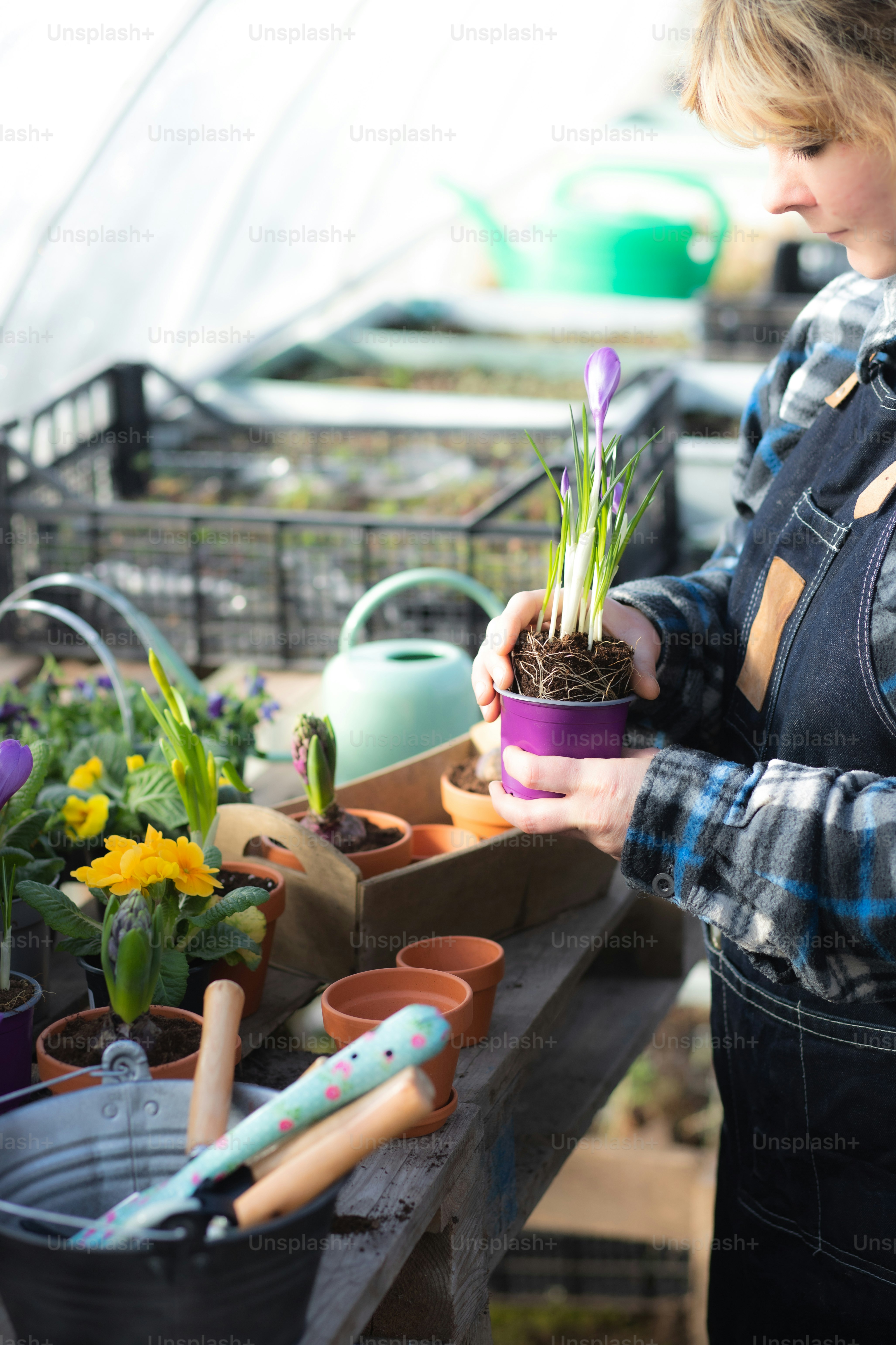 uma mulher segurando um vaso de planta em suas mãos