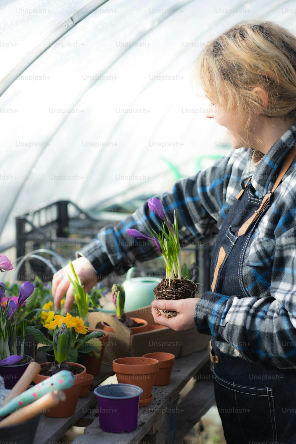 Una mujer sosteniendo una planta en maceta en un invernadero
