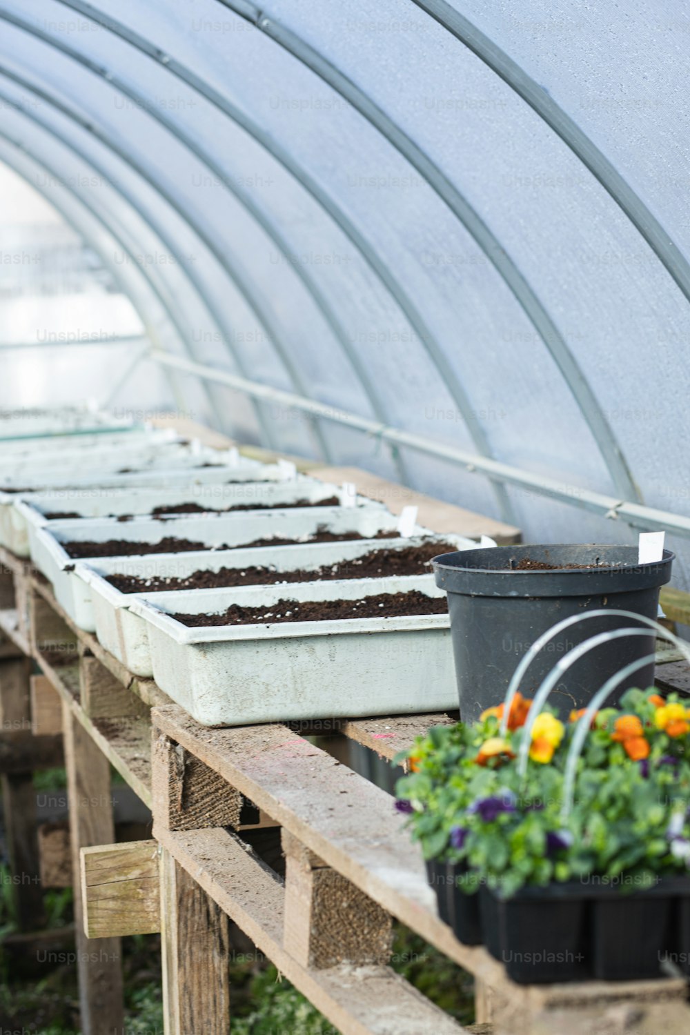 a row of greenhouses filled with potted plants