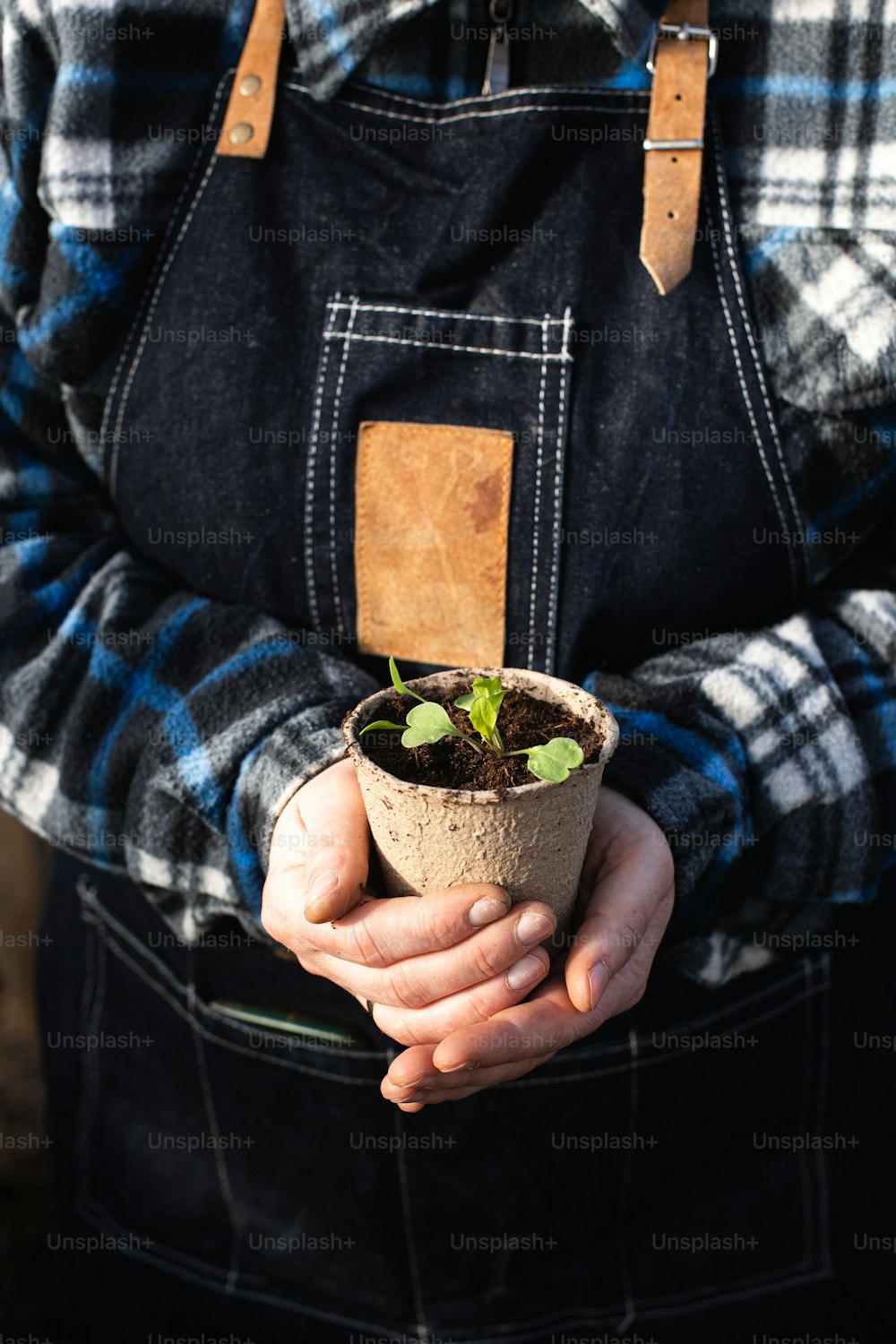 a person holding a potted plant in their hands