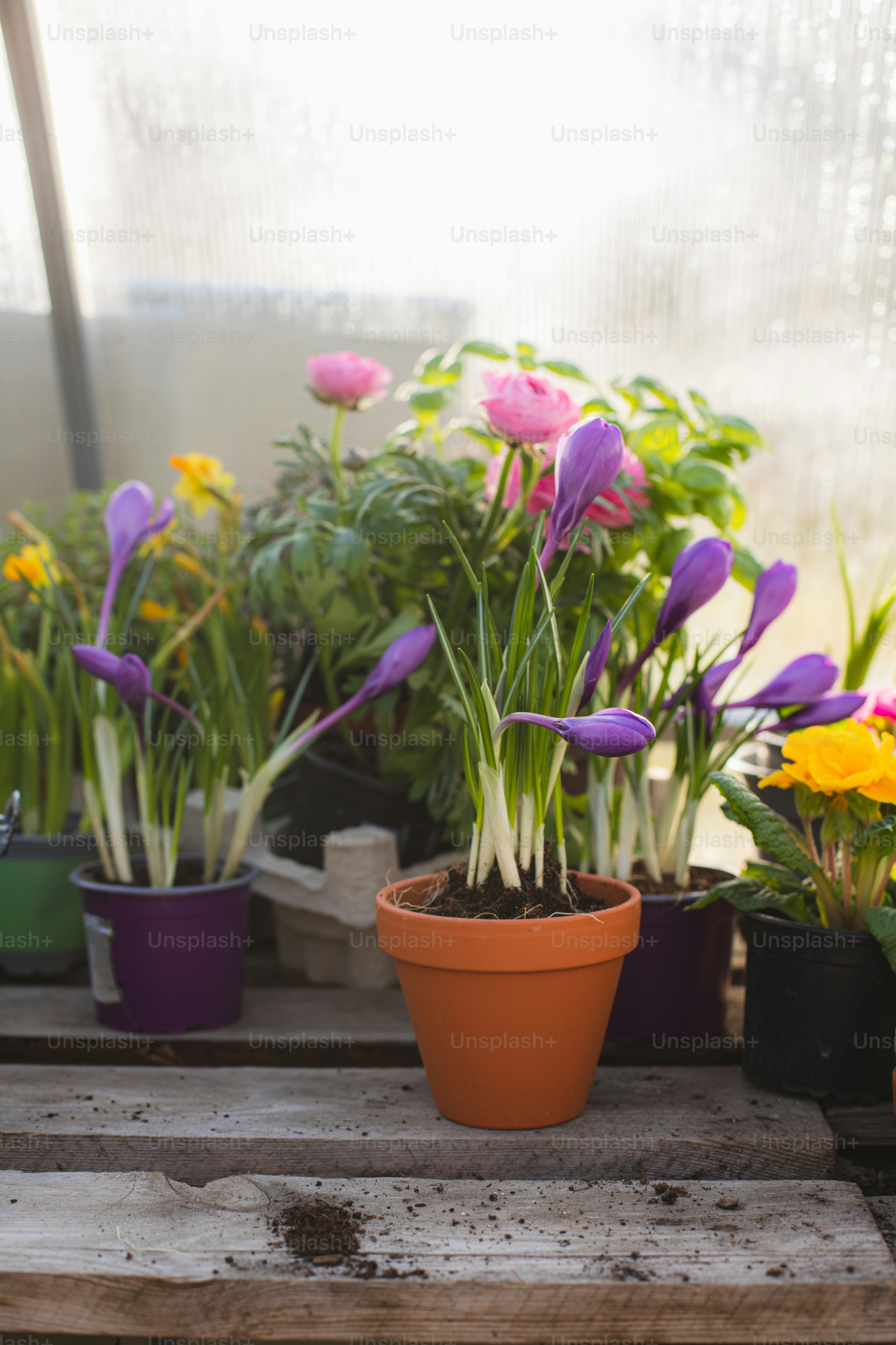 um ramo de flores que estão em um vaso
