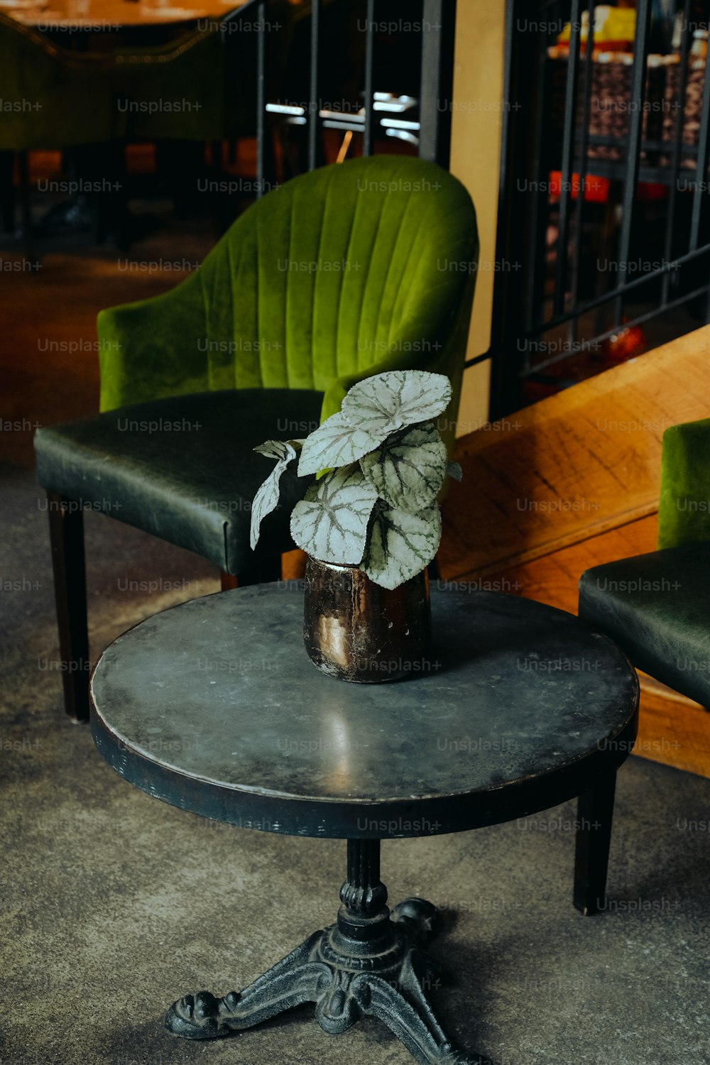 una mesa con una planta en maceta encima