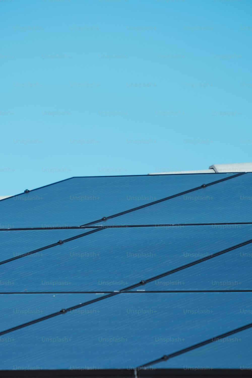 Un uccello seduto in cima a un tetto di metallo