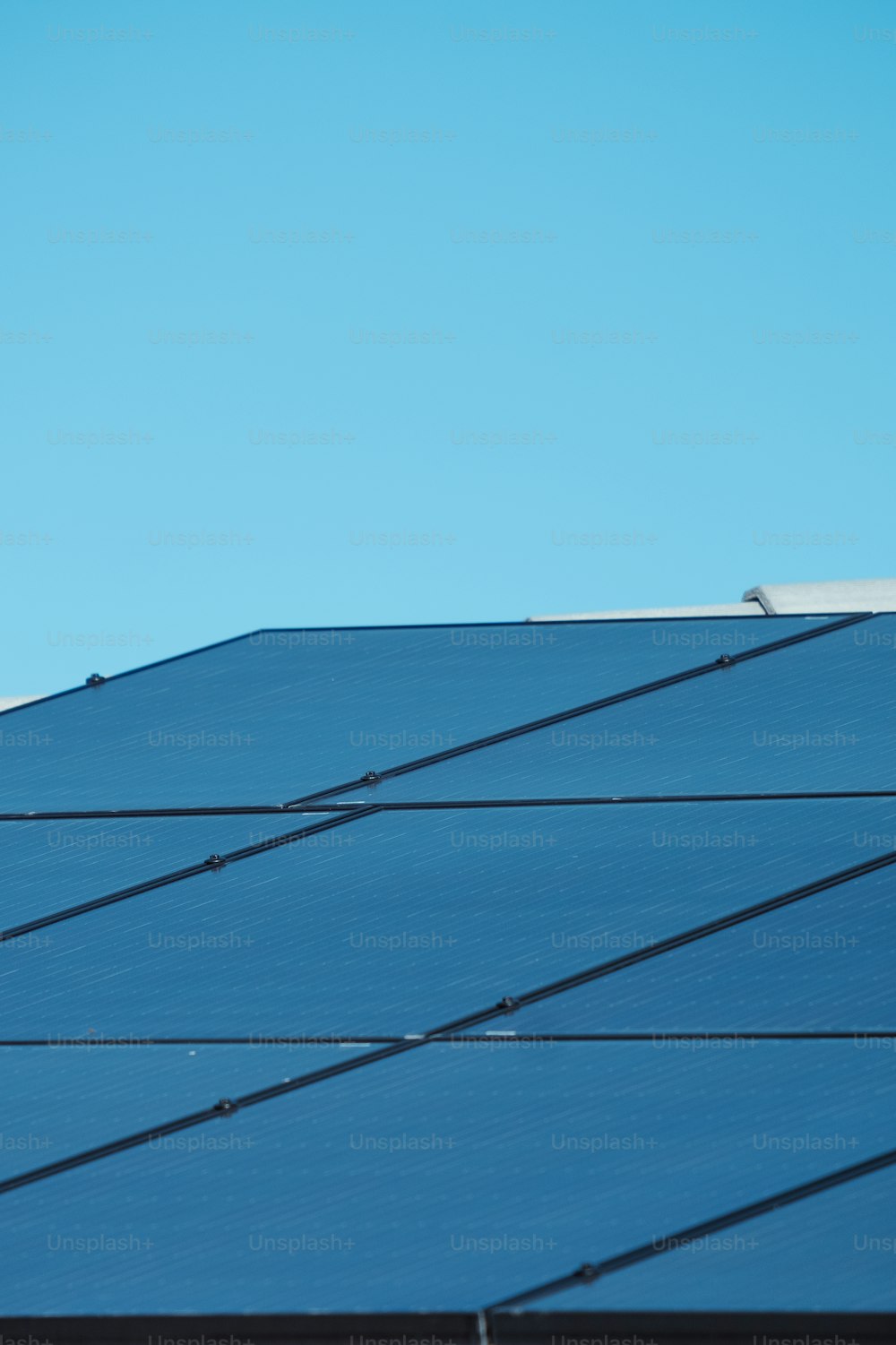 a bird sitting on top of a metal roof