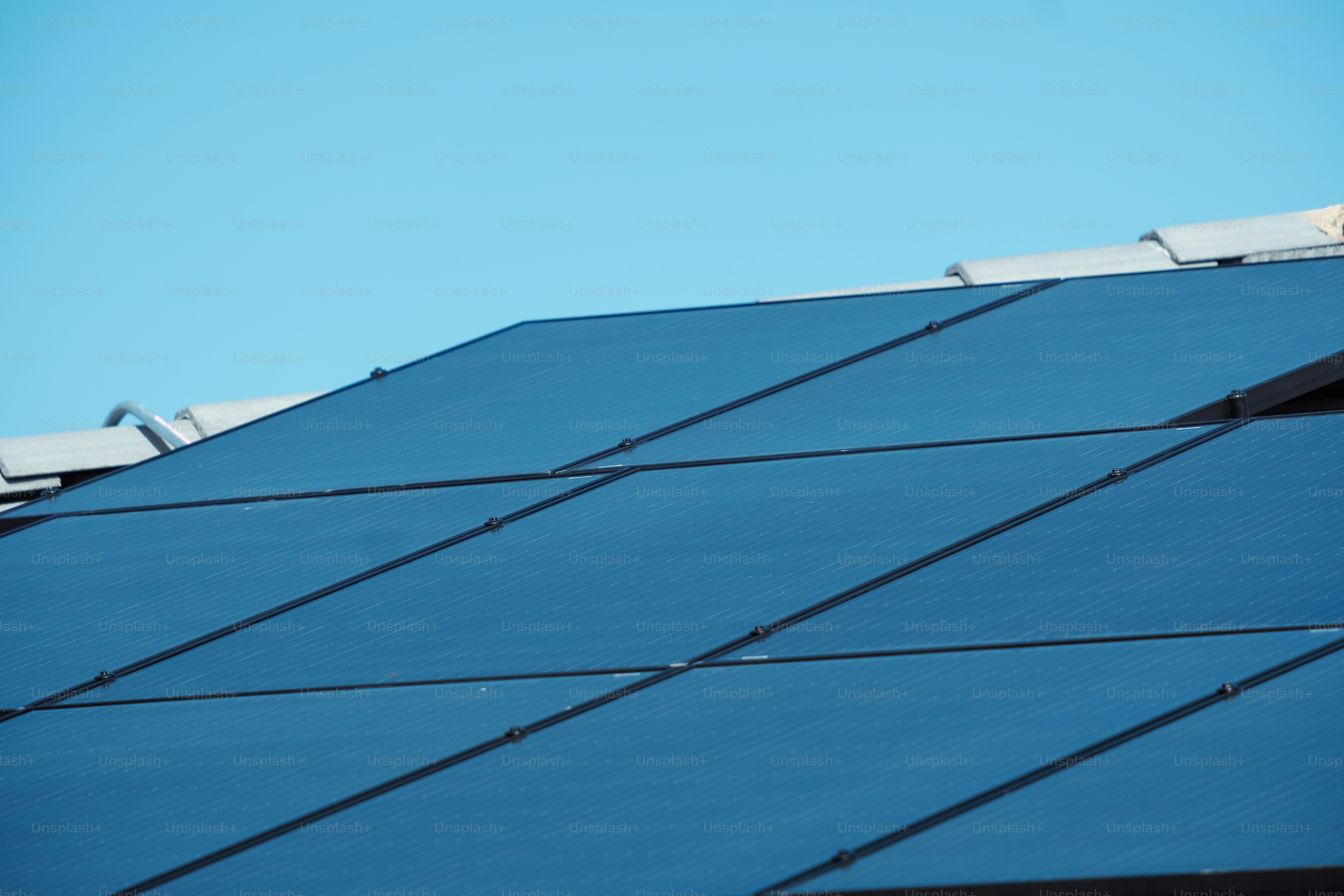 Un pájaro está encaramado en el techo de un edificio
