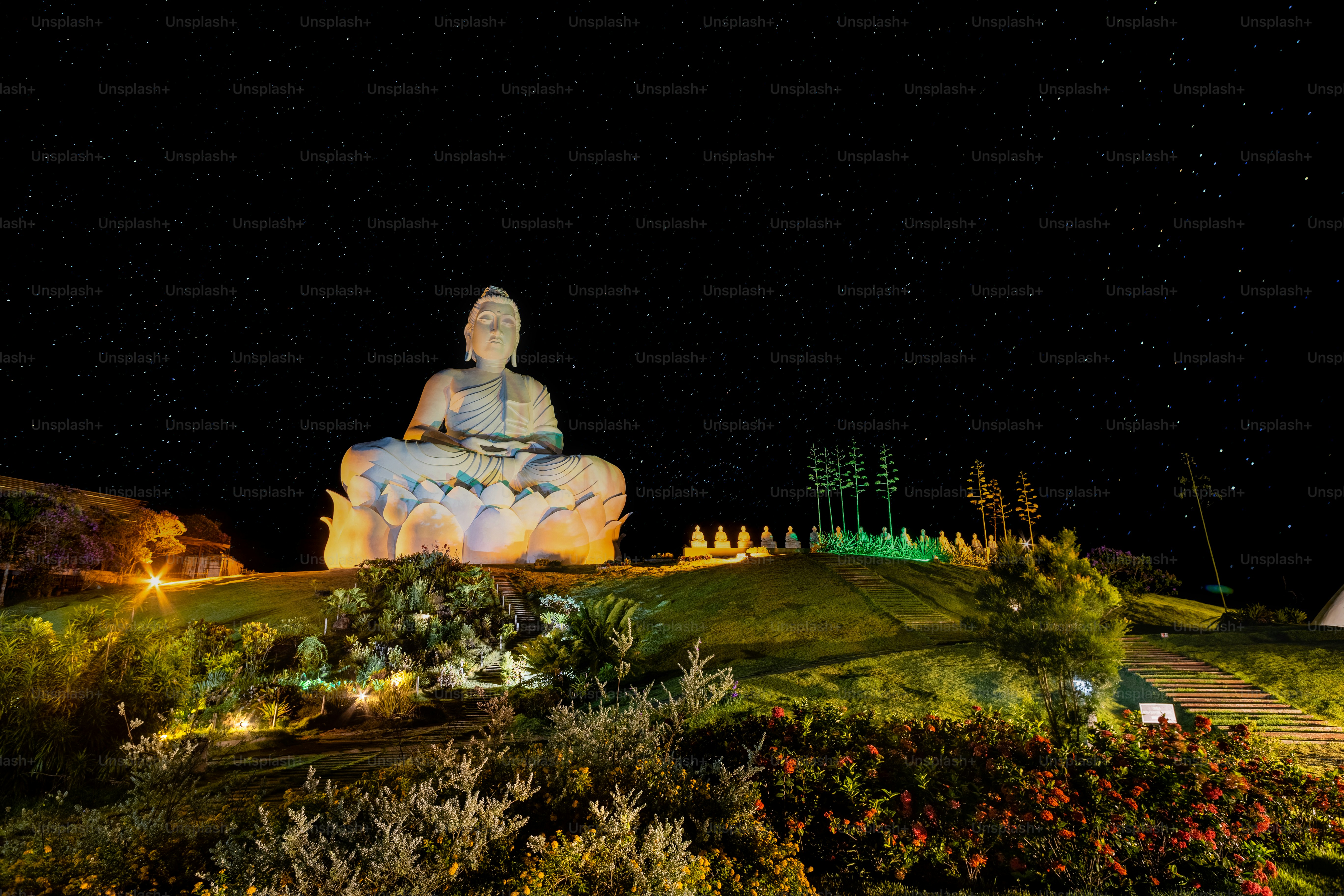 a buddha statue sitting on top of a lush green hillside