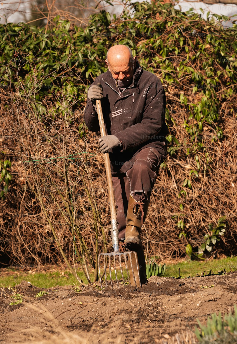 男がシャベルで土を掘っている