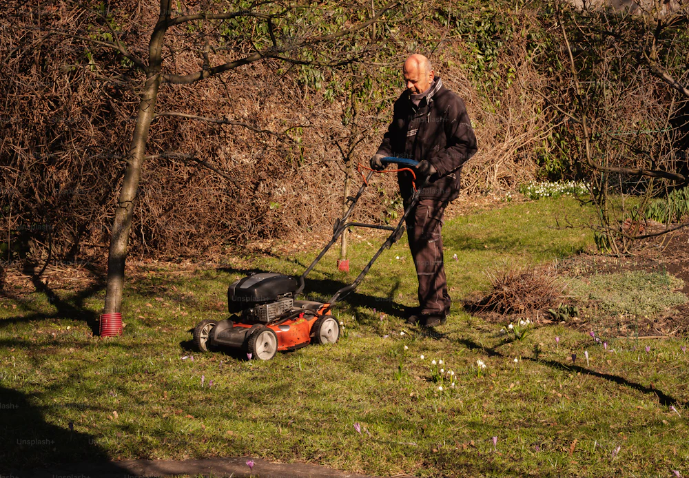 Groenvoorziening medewerkers aan het werk