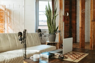 a living room with a couch and a laptop on a table