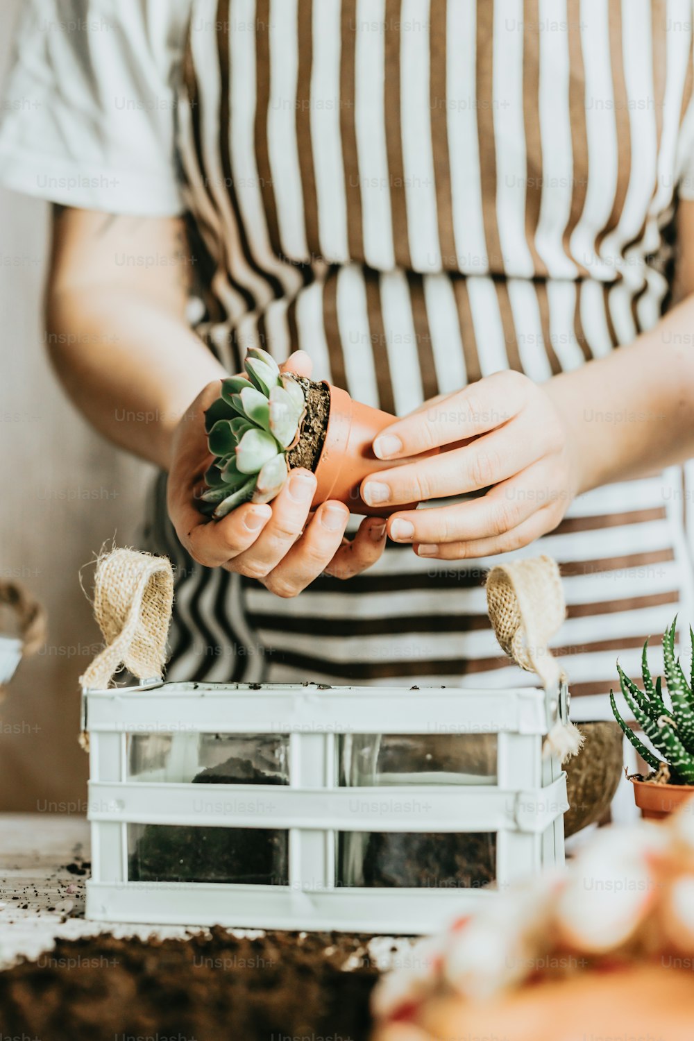 a woman is holding a succulent plant in her hands