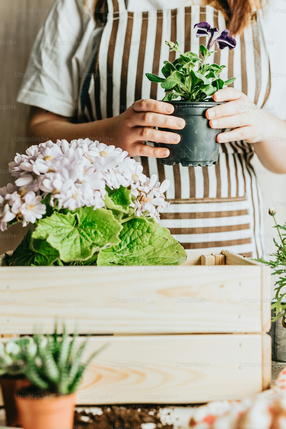 a woman in an apron holding a potted plant