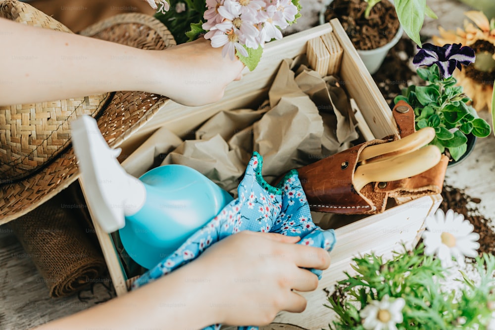 a person holding a flower in a wooden box